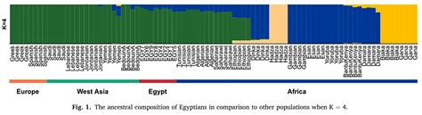 Complete Genome Sequence And Bioinformatics Analysis Of Nine Egyptian