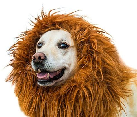 Lion Mane for Dog Pet Costume Lion Wig Pet Festival Party Fancy Hair ...