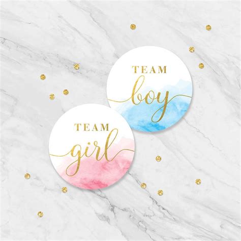 Gender Reveal Sticker Team Boy Team Girl Stickers Team Pink Etsy