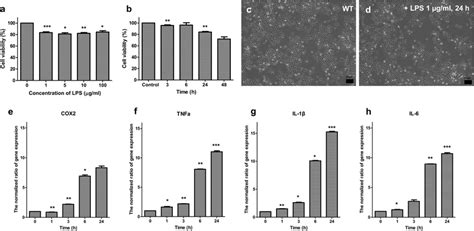 Cell Viability And Expression Of Tnf α Cox 2 Il 1β And Il 6 In