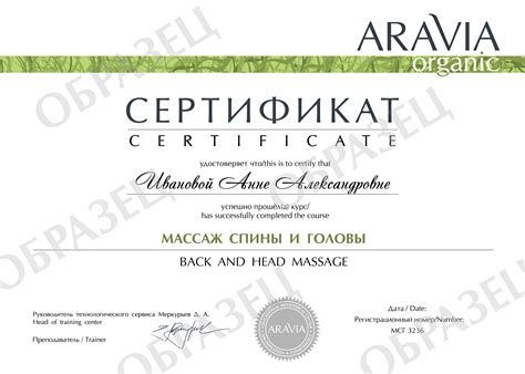 Массаж спины и головы