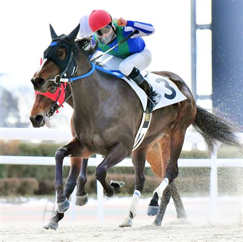 初vお待たせしました！ ジャングルポケット斉藤の所有馬 オマタセシマシタが10戦目で初勝利 Umatoku 馬トク