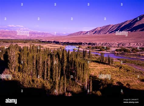landscape  diskit monastery diskit gompa   oldest  largest