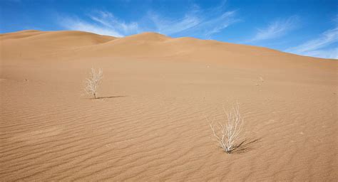 Beauties of IRAN DESERTS (SEE FOR YOURSELF) - Artin Travel