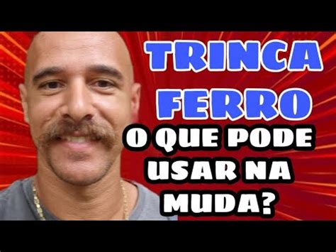 Trinca Ferro Pode Ou N O Usar Isso Na Muda De Penas Youtube