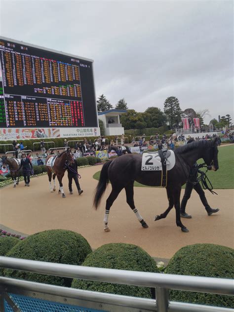 自分用新馬戦メモ（6月3日・4日）シュトラウス ボンドガール ウーエー競馬