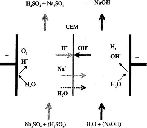 Sodium Sulfate Electrochemical Splitting In A Two Compartment Cell