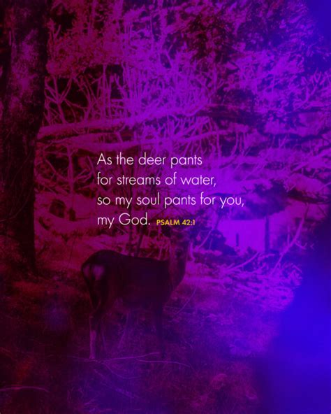 As The Deer Pants For Streams Of Water So My Soul Pants For You My