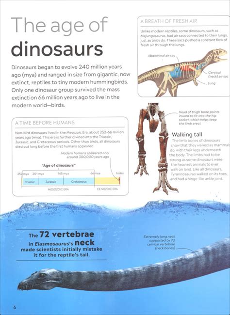 Dinosaur (Eyewitness Book) | Dorling Kindersley | 9780744039085