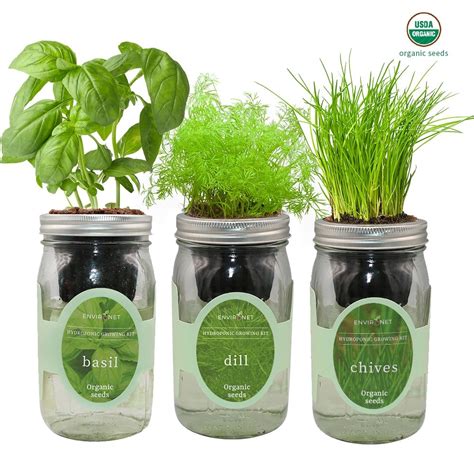 Herb Garden Trio - Mason Jar Hydroponic Kit Set with Organic Seeds ...