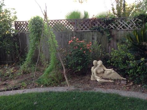 Tripod Trellis For Morning Glory And Cardinal Flower Vines Flowering