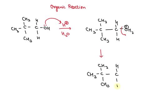 SOLVED: 2. Acid catalyzed dehydration of neopentyl alcohol (CH,)CCH,OH ...