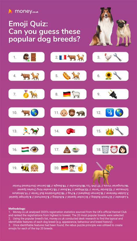 Emoji Quiz Can You Guess The 20 Dog Breed From The Icons