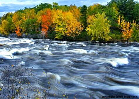 Flowing River Animation | Amazing Wallpapers