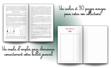 Bullet Journal Pr Rempli Bujo Illustr En Couleurs Agenda Intemporel