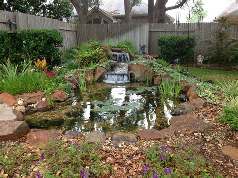 Ecosystem Koi Pond Installation Austincentraltexastx Texas Ponds