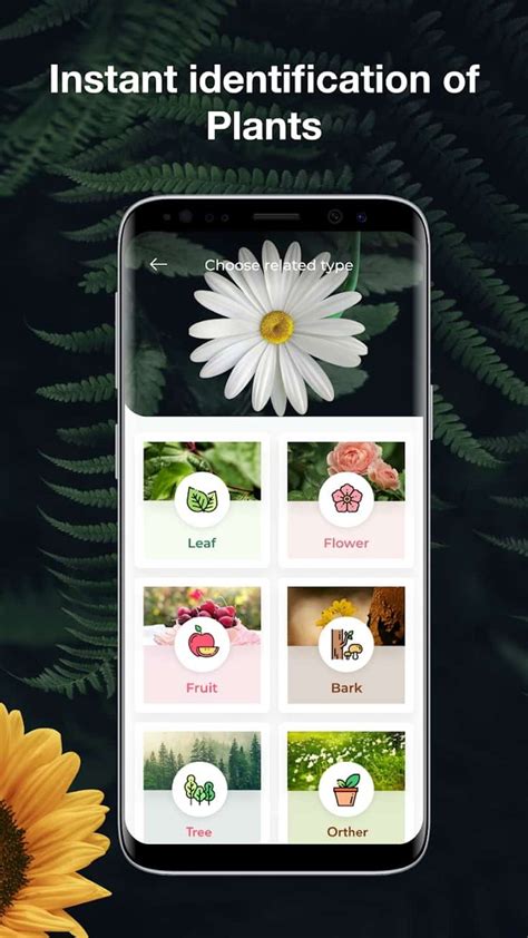 Top 8 Free Plant Identifier Apps In 2022 | Plant identification app ...