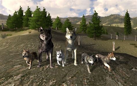 Wolf Online Tough Fight Of Wolves Wolf Online Animal Games Snow Wolf