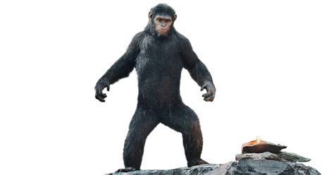 Review: Dawn of the Planet of the Apes | TIME