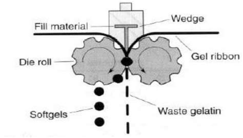 Soft Gelatin Capsules Manufacturing Process: The Complete Guide - SaintyTec