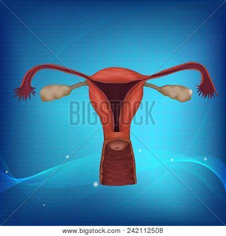 Human Realistic Vector Photo Free Trial Bigstock