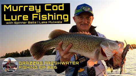 Murray Cod Lure Fishing Lake Mulwala YouTube