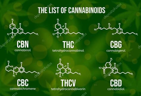 Ilustración Vectorial Realista De Compuestos Cannabinoides Estructura