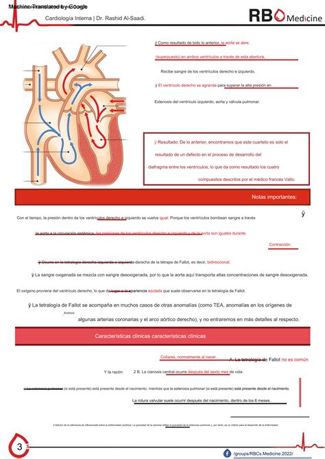 SOLUTION Defectos Card Acos Cong Nitos Rbcs Cardiolog A Can Tica