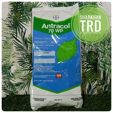 Paket 1kg ANTRACOL 70 WP Bayer Racun Kulat Serbuk Bancuh Wettable