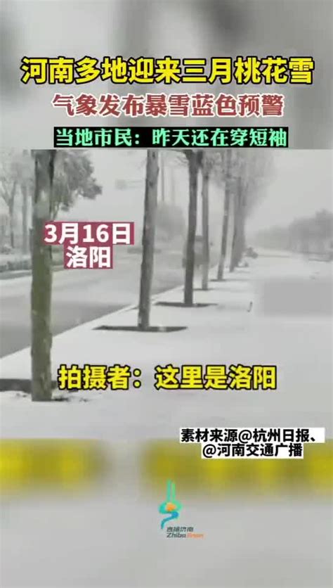 河南多地迎来三月桃花雪，气象发布暴雪蓝色预警河南省暴雪新浪新闻