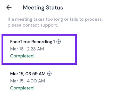 How To Record FaceTime With Audio On IPhone Mac Fireflies