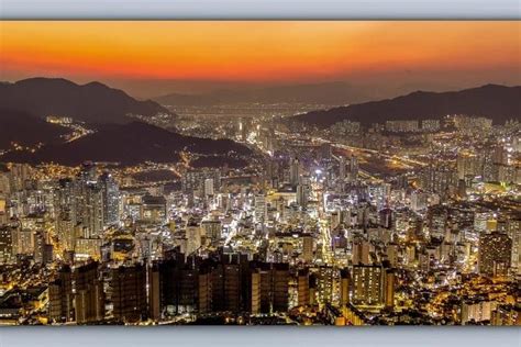 Busan By Night: Triphobo