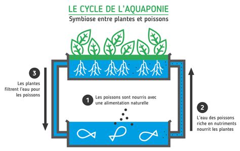 L Aquaponie Une R Volution Pour Faire Face Aux D Fis Futurs De L