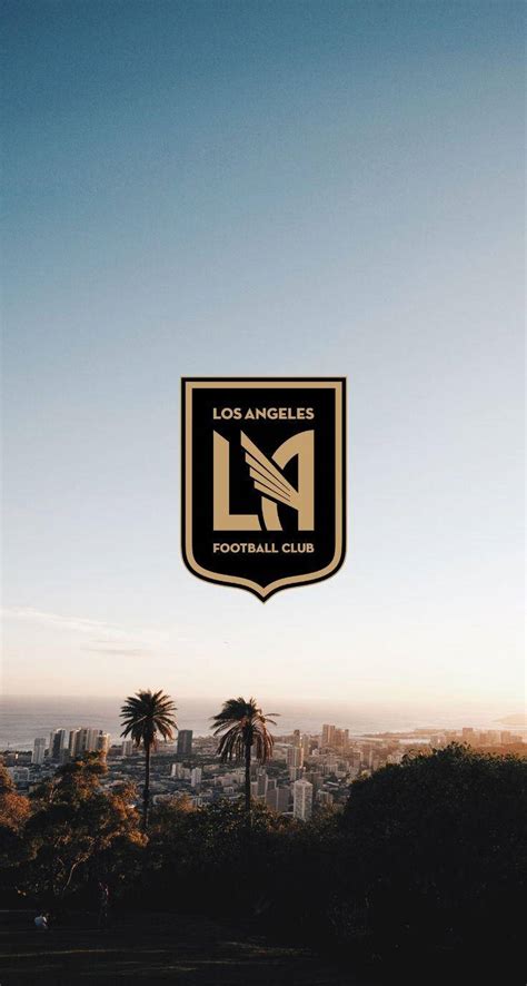 Top 999+ Lafc Wallpapers Full HD, 4K Free to Use