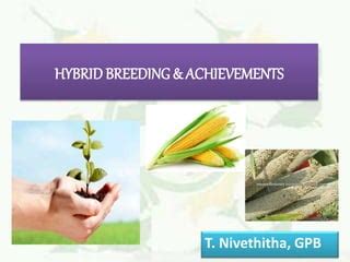 Hybrid breeding | PPT