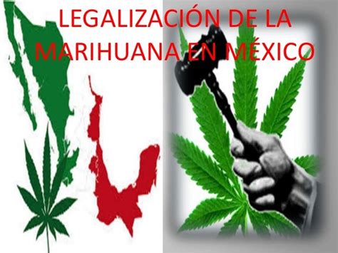 Legalización De La Marihuana En México Presentacion