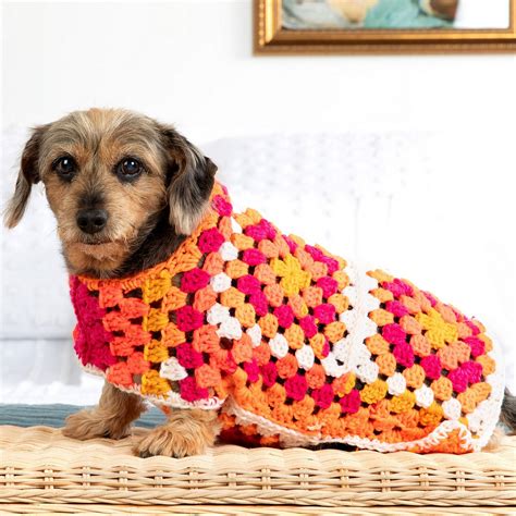 21 Crochet Dog Sweater Patterns - DIYsCraftsy