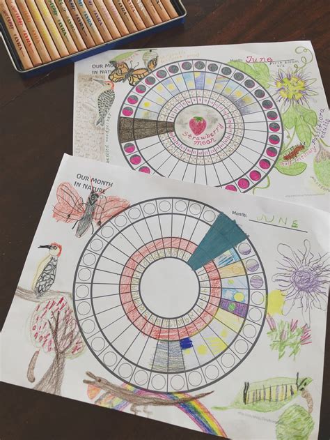 Phenology Wheel Templates Etsy