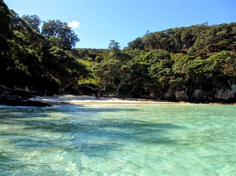 Great Mercury Island Perfect Peachgrove Bay New Zealand Two At Sea