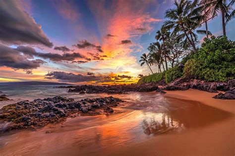 Tropical Sunset Sunset Island Tropical Sky Palms Fiery Ocean Bonito Hd Wallpaper Peakpx