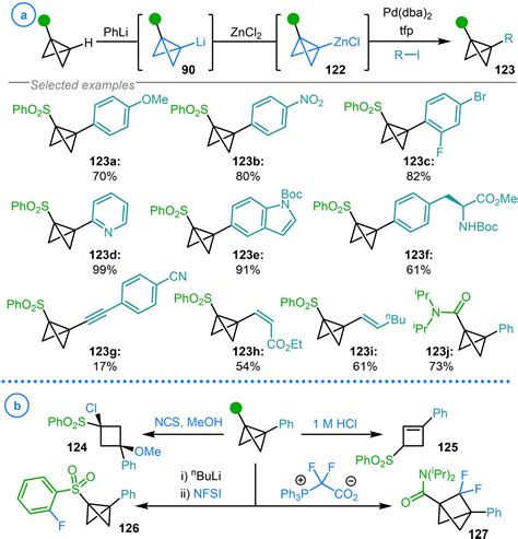 Synthesis And Applications Of Bicyclo Butyl And Azabicyclo