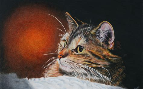 cat painting Wallpapers HD / Desktop and Mobile Backgrounds