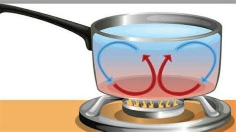 Convection Currents Diagram Quizlet