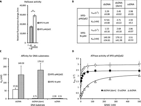 Steady State Atpase And Helicase Activity Of Xpd Complexes In The