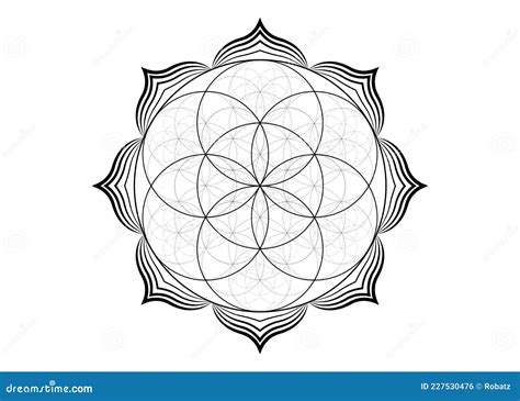 Flower Of Life Mandala Black And White