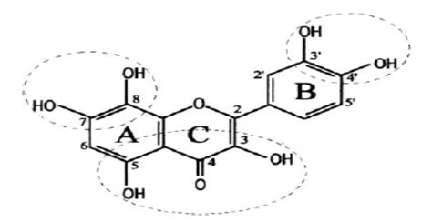 Structural Features Of Flavonoids With A High Radical Scavenging Activity Download Scientific