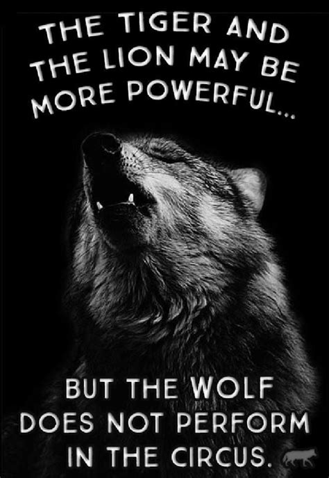 A Black And White Photo With A Wolf Quote On Its Side In The Middle