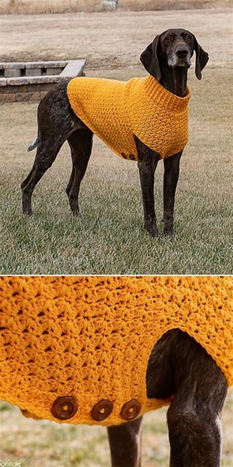 Cozy Dog Coats Free Crochet Patterns Dog Sweater Crochet Pattern