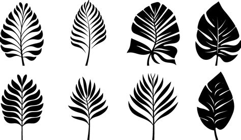 Set Of Black Silhouettes Of Tropical Leaves Palms Trees Vector Ai