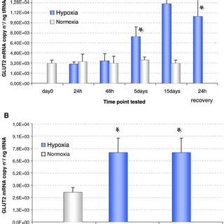 Membrane topology of glucose transporter 2 (GLUT2) protein predicted... | Download Scientific ...